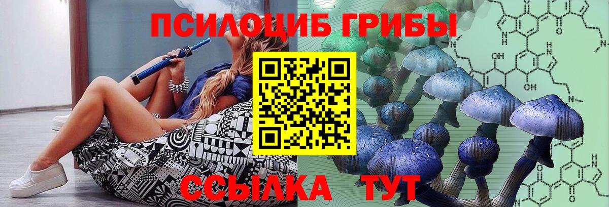 Галлюциногенные грибы Magic Shrooms  купить наркоту  Фурманов  Вход с VPN 